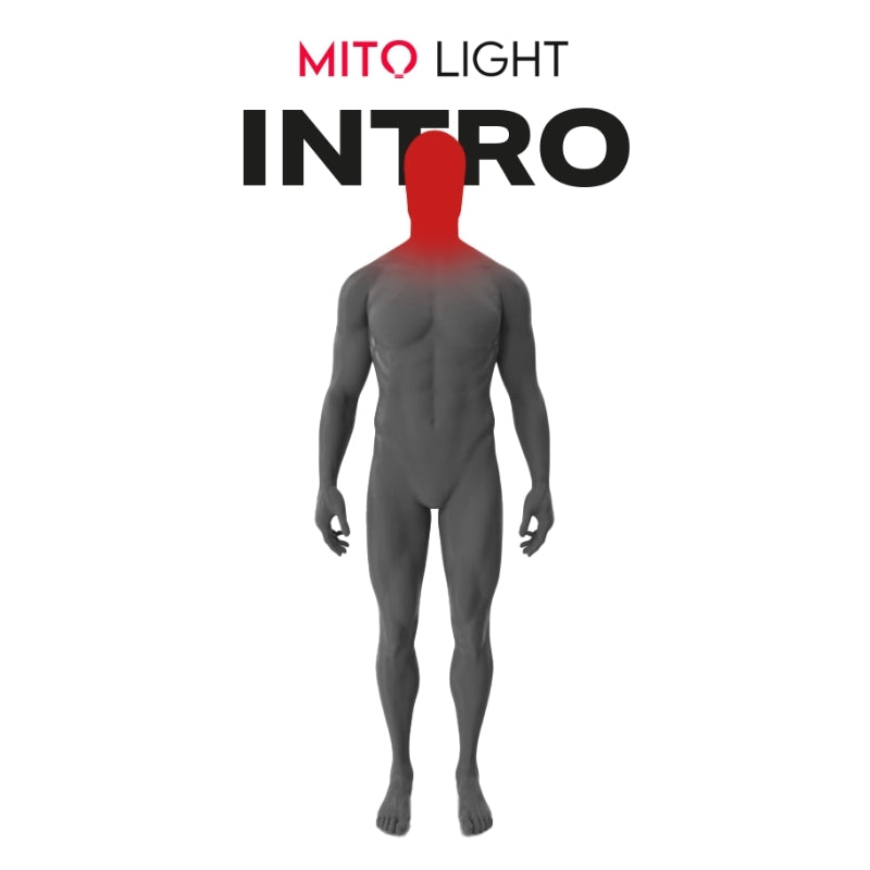 MITO LIGHT® Intro
